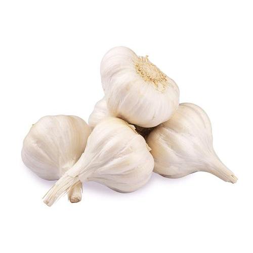 Fresh Garlic 4 pcs