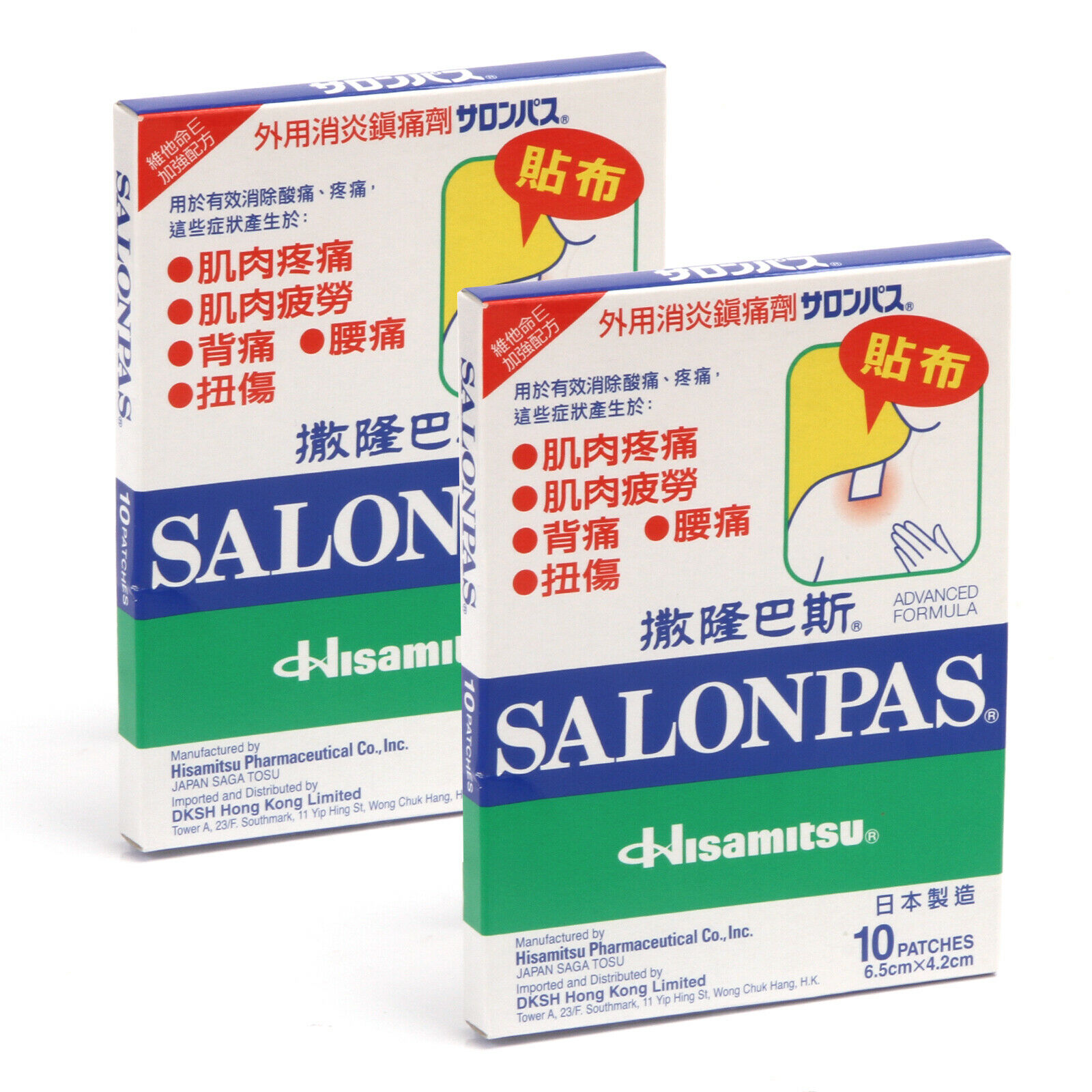 Hisamitsu Salonpas Pain Relieving Patch 10pcs