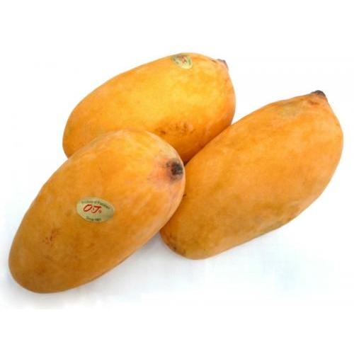  Mango each- Season