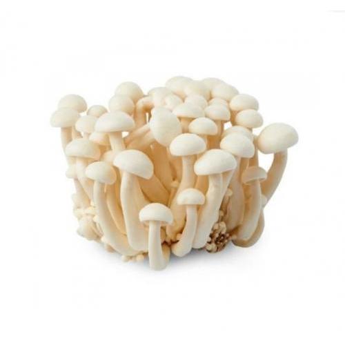 White Shimeji Mushroom per Pack