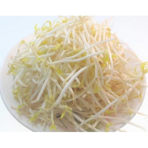 Bean Sprout 250g