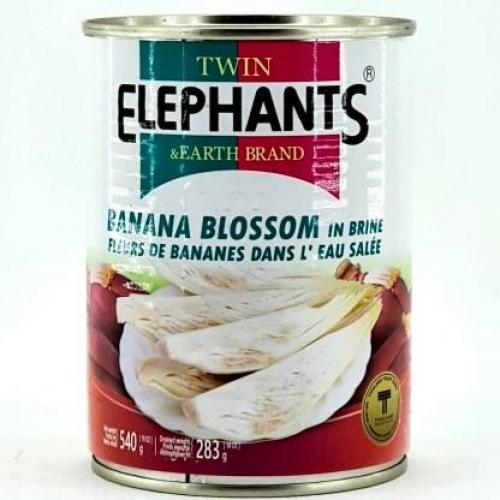 Twin Elephants & Earth Brand Banana Blossom In Brine 540g