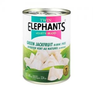 Twin Elephants & Earth Brand Green Jackfruit In Brine 540g