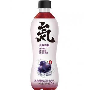 GKF Sparkling Water - Grape 480ml