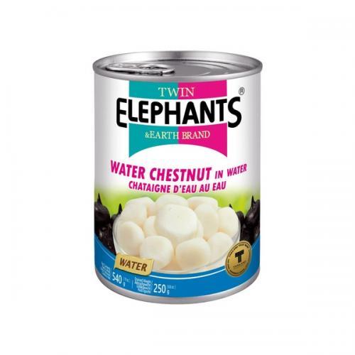 TWIN ELEPHANT Water chestnuts 540g