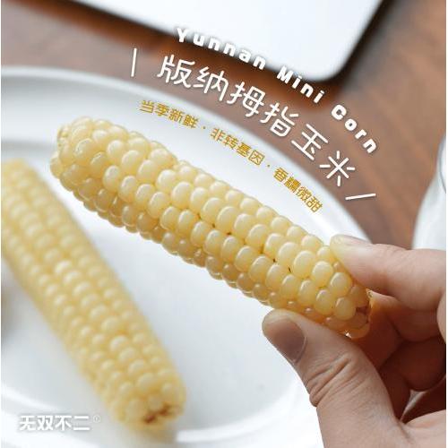 REVAGON Glutinous White Corn-Finger size 500g