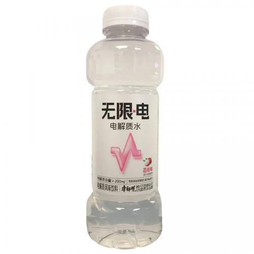 Master Kong Electrolyte Water Lychee 500ml